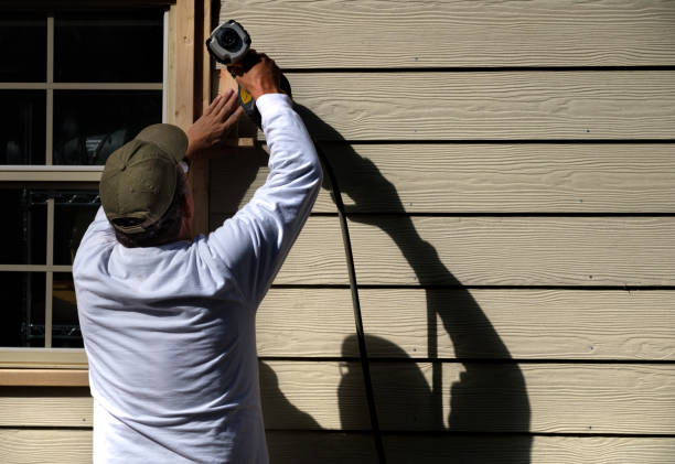 Affordable Siding Repair and Maintenance Services in Norfolk, VA